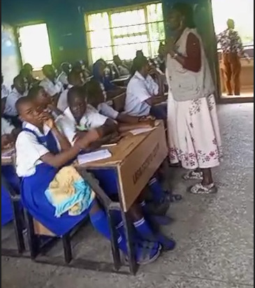 Students participating